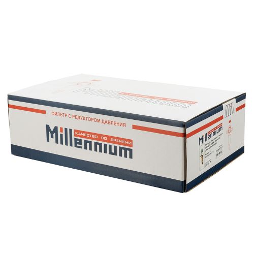 Фильтр с редуктором давления 1/2" для горячей воды Millennium FRDH1212