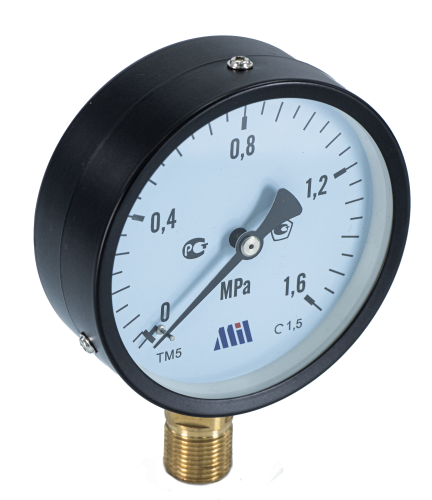 Манометр верт. 1/2" (100/16 бар) "Millennium''