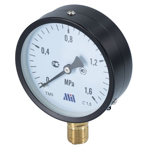 Манометр верт. 1/2" (100/16 бар) "Millennium''