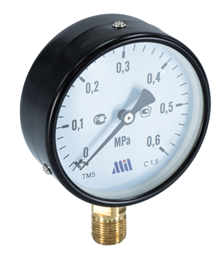 Манометр верт. 1/2" (100/ 6 бар) "Millennium''
