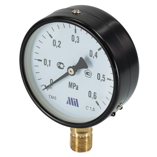 Манометр верт. 1/2" (100/ 6 бар) "Millennium''