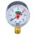 Манометр верт. 1/4" (50/ 6 бар) Millennium