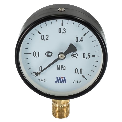 Манометр верт. 1/2" (100/ 6 бар) "Millennium''
