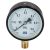 Манометр верт. 1/2" (100/ 6 бар) "Millennium''