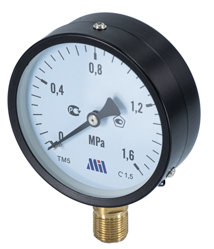 Манометр верт. 1/2" (100/16 бар) "Millennium''