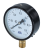 Манометр верт. 1/2" (100/ 6 бар) "Millennium''