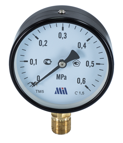 Манометр верт. 1/2" (100/ 6 бар) "Millennium''